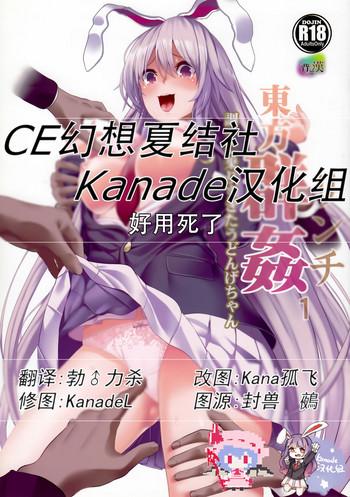 touhou lynch 1 choushi ni norisugita udonge chan cover