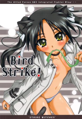 bird strike cover 1
