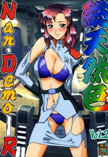 soutennenshoku nan demo r vol 2 cover