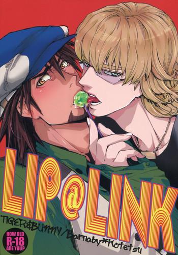lip link cover