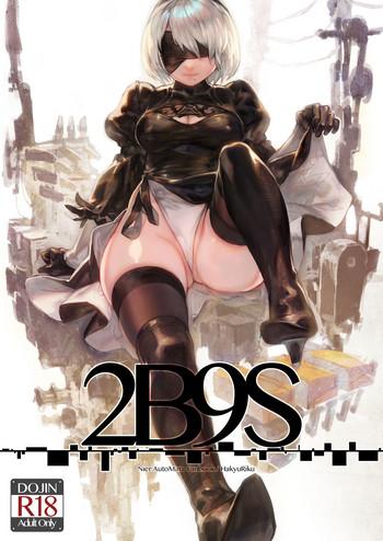 2b9s cover 1