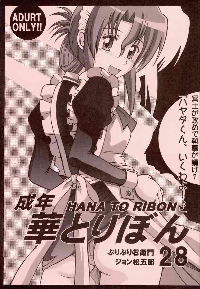 seinen hana to ribon 28 cover