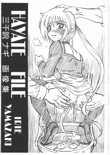 hayate file sanzenin nagi gazoushuu cover